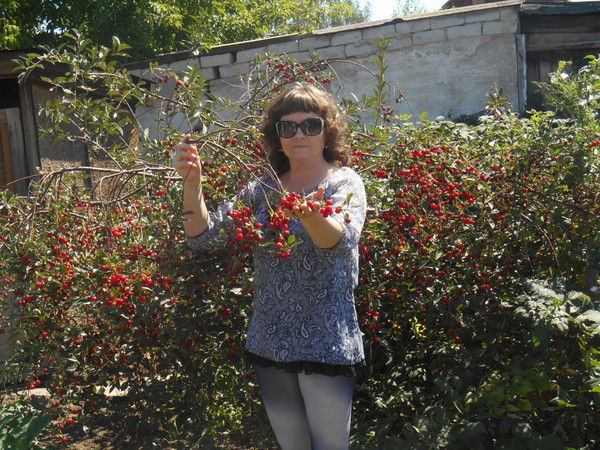 Оля Волкова