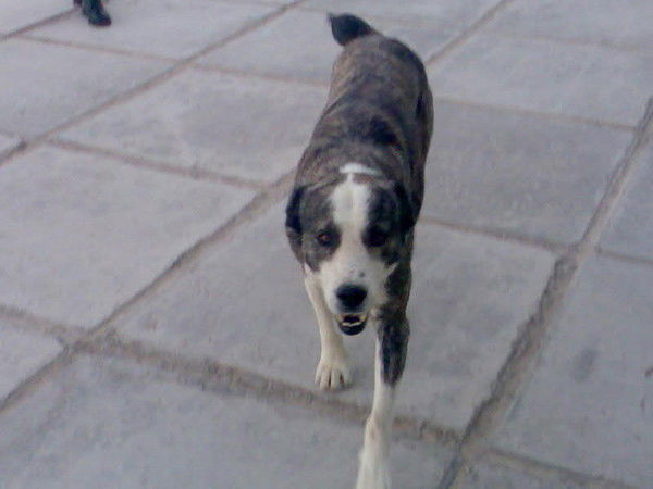 Шухрат Азнабакиев