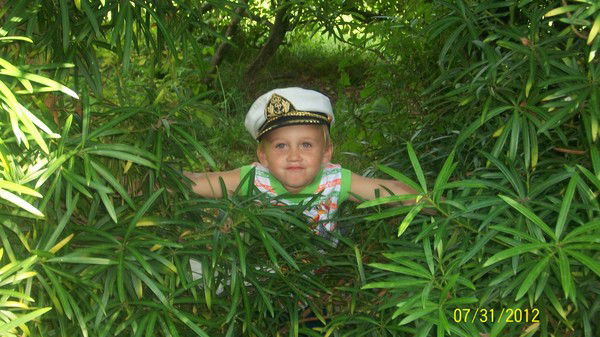 Илья Веденеев