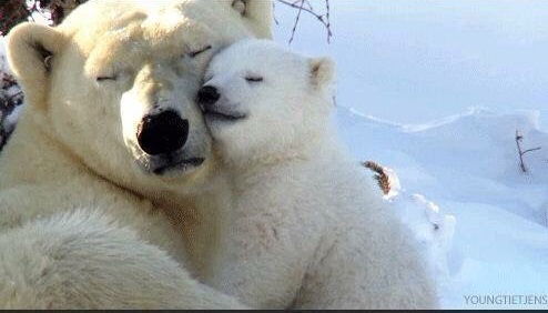 Жанболат Мусапиров