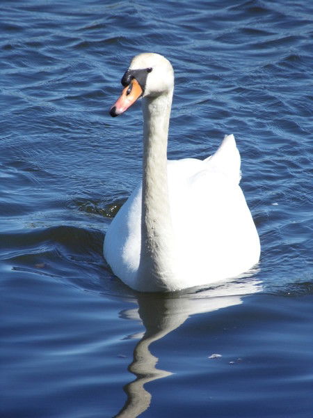 Одесса Украина