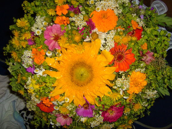 Наталья Петровская