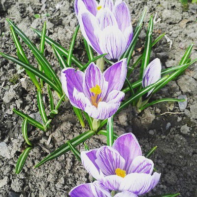 Наталья Маркина