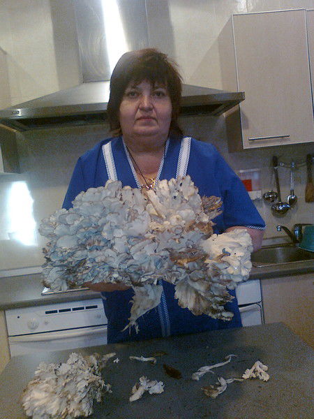 Лариса Мартыненко