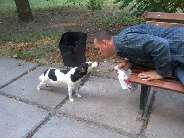 Сергей Кулиш