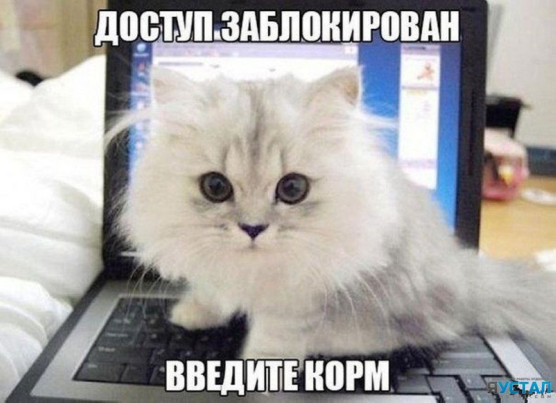 Руслан Куанов