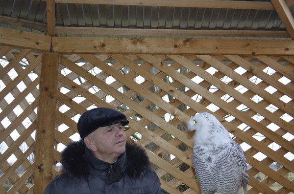 Юрий Коровин