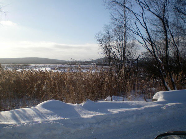 Екатерина Зырянова