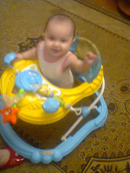 Александр Баньковский