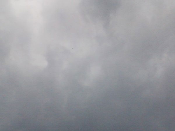 Раиса Шкулева