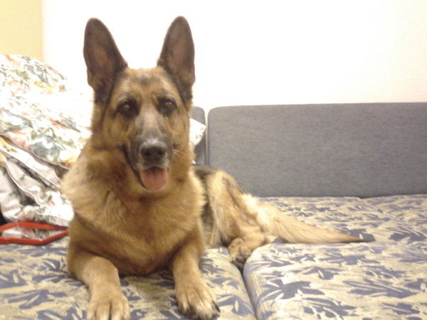 Анна Симонян