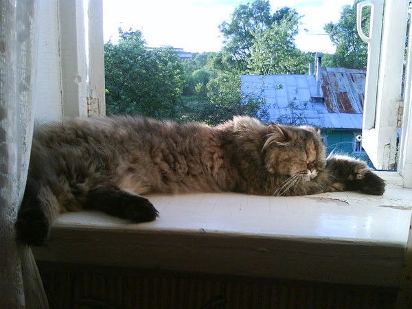 Наталья Ямаева