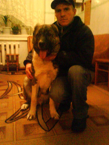 Олег Корниенко