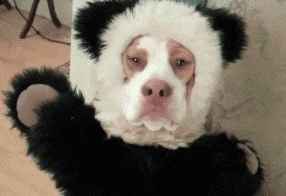 Николай Антипин