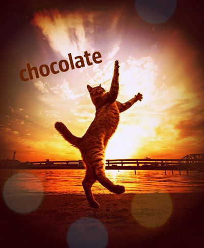 Владислава Крючкова