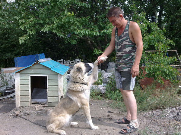 Рустам Минагулов