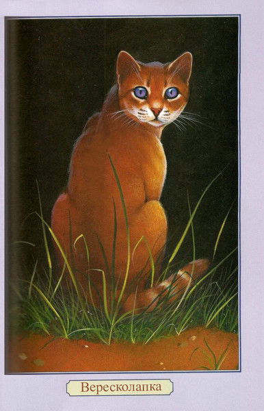 Катя Шабанова