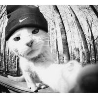 Влад Алексашин