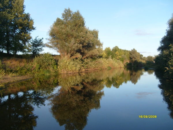 Михаил Коржиков