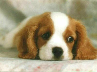 Мария Игнаткина