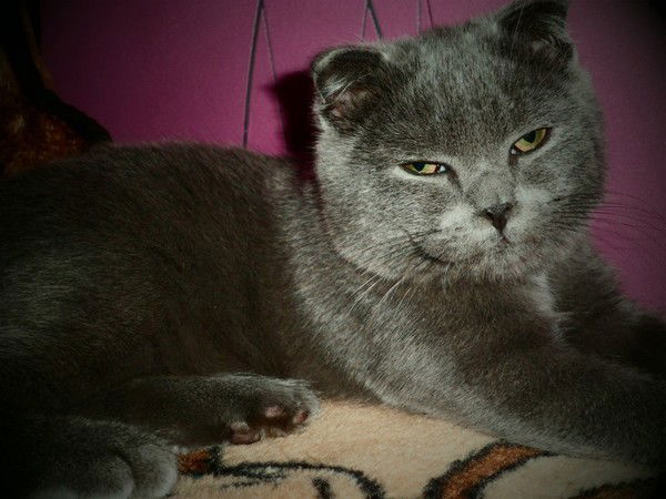 Михаил Эргашев