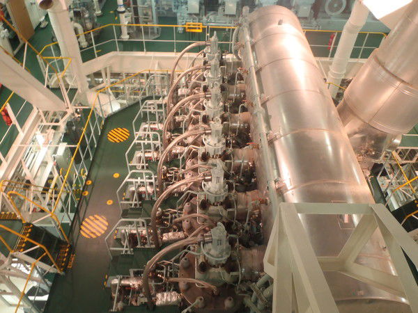 Миша Беженар