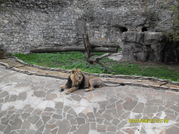 Хамит Тансыккужин