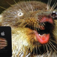 Оксана Копытина