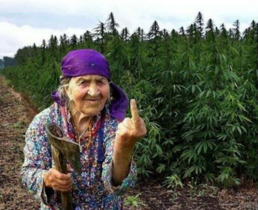 Безликий Панк