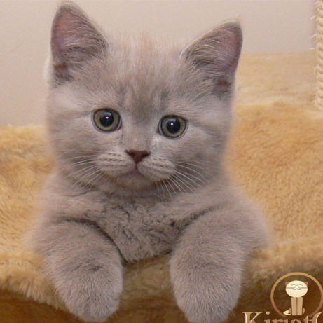 Наталия Спасова