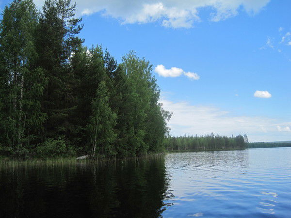 Сергей Рекало