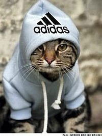 Людмила Иванова