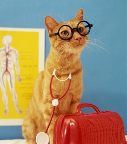 Эльвира Антипова