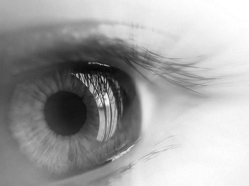 Zlatislavna Zlatislavna