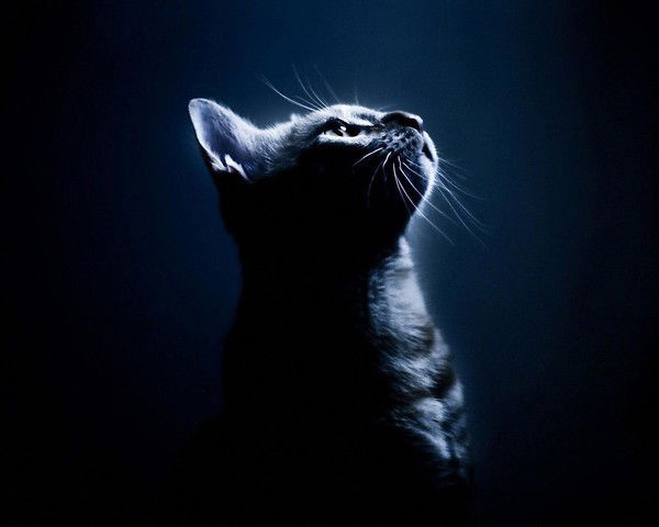 Артём Найдёнов