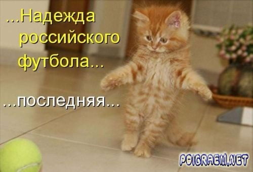 Ксенья Рыжая