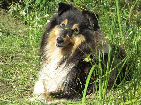 Марина Нестерова