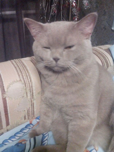 Владимир Рожнов