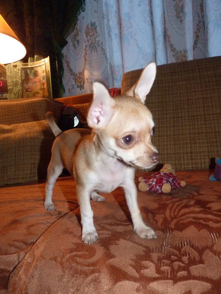 Александра Лунева