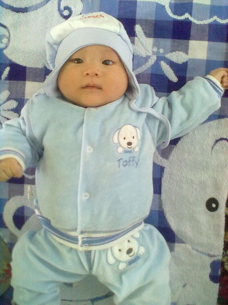 Айжаркын Шамасирова