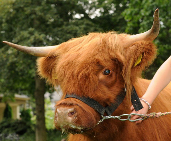 Анастасия Казакова