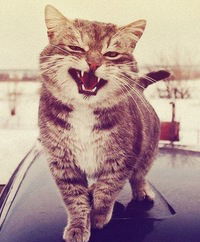 Никита Кузнецов