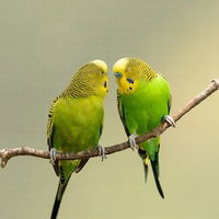 Динара Фатыхова