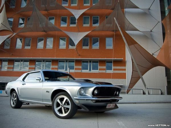 Латино Американец