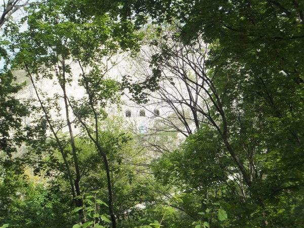 Ольга Ярмова