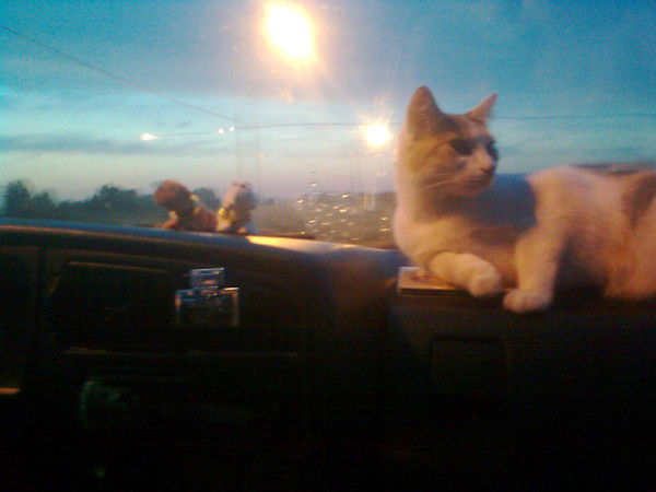 Людмила Антипова