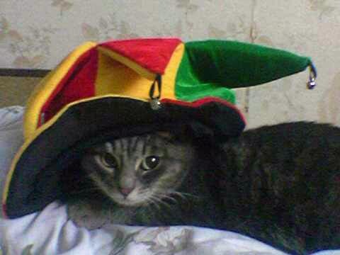 Юлия Марченко