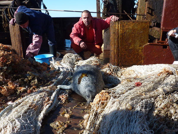 Андрей Кокшенов