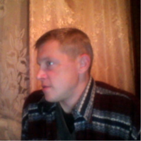 Александр Губарев