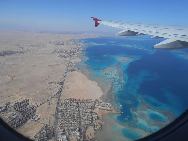 Дмитрий Башкиров